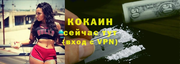 гашик Елабуга