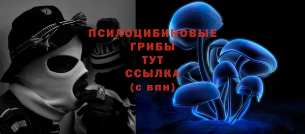 спайс Елизово