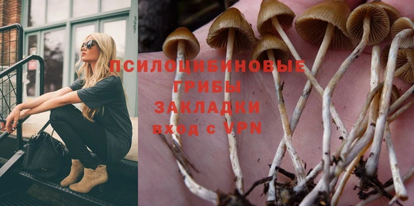 гашик Елабуга