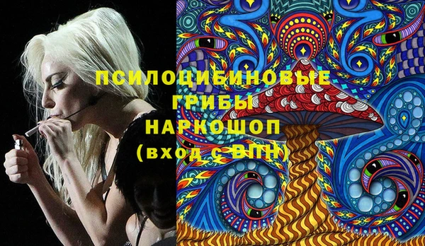 спайс Елизово