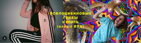 гашик Елабуга