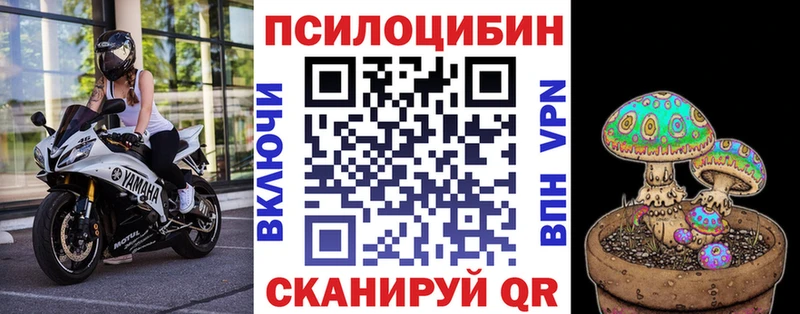 Купить где  Жуков  Псилоцибиновые грибы мицелий 